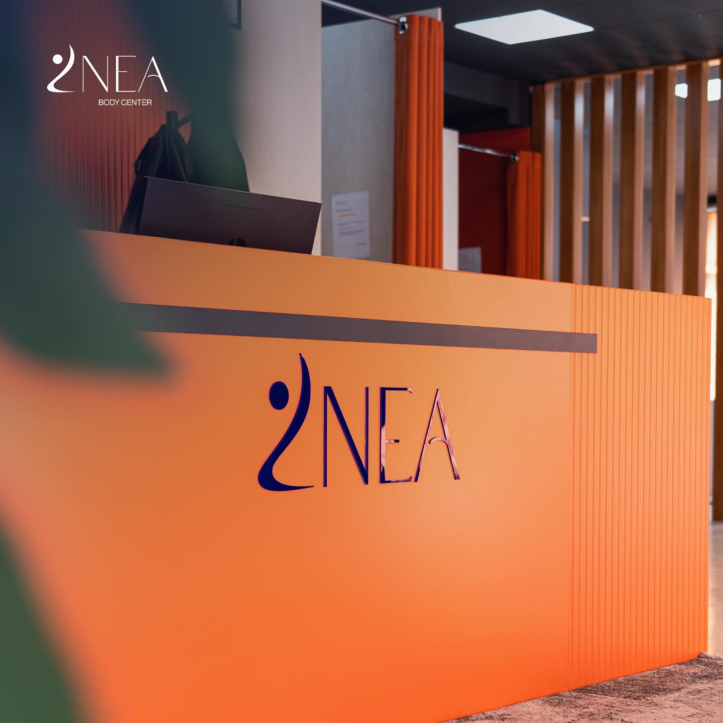 NEA Reception